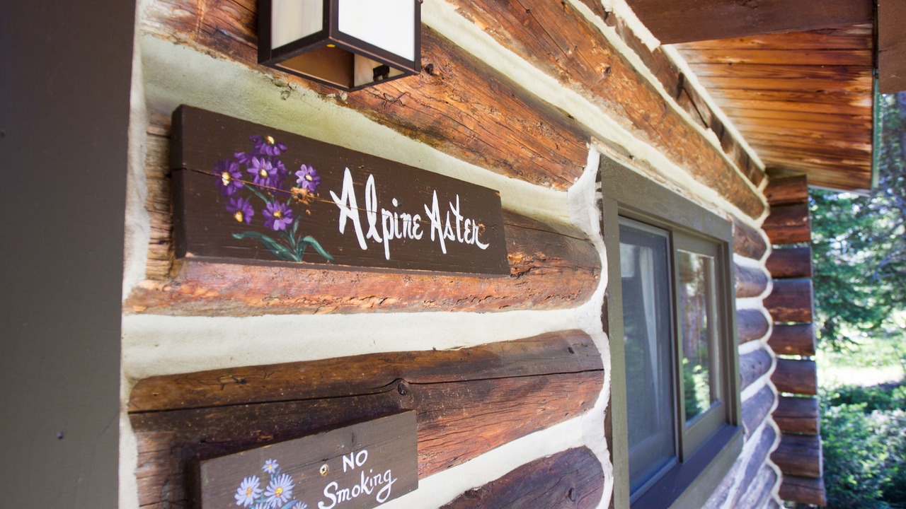 Photo of Outdoor in Moose