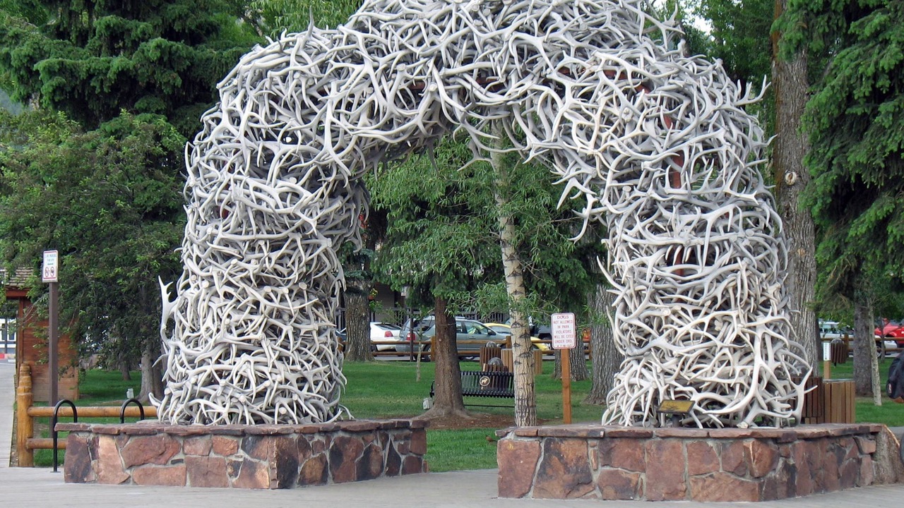 Photo of Others in Moose