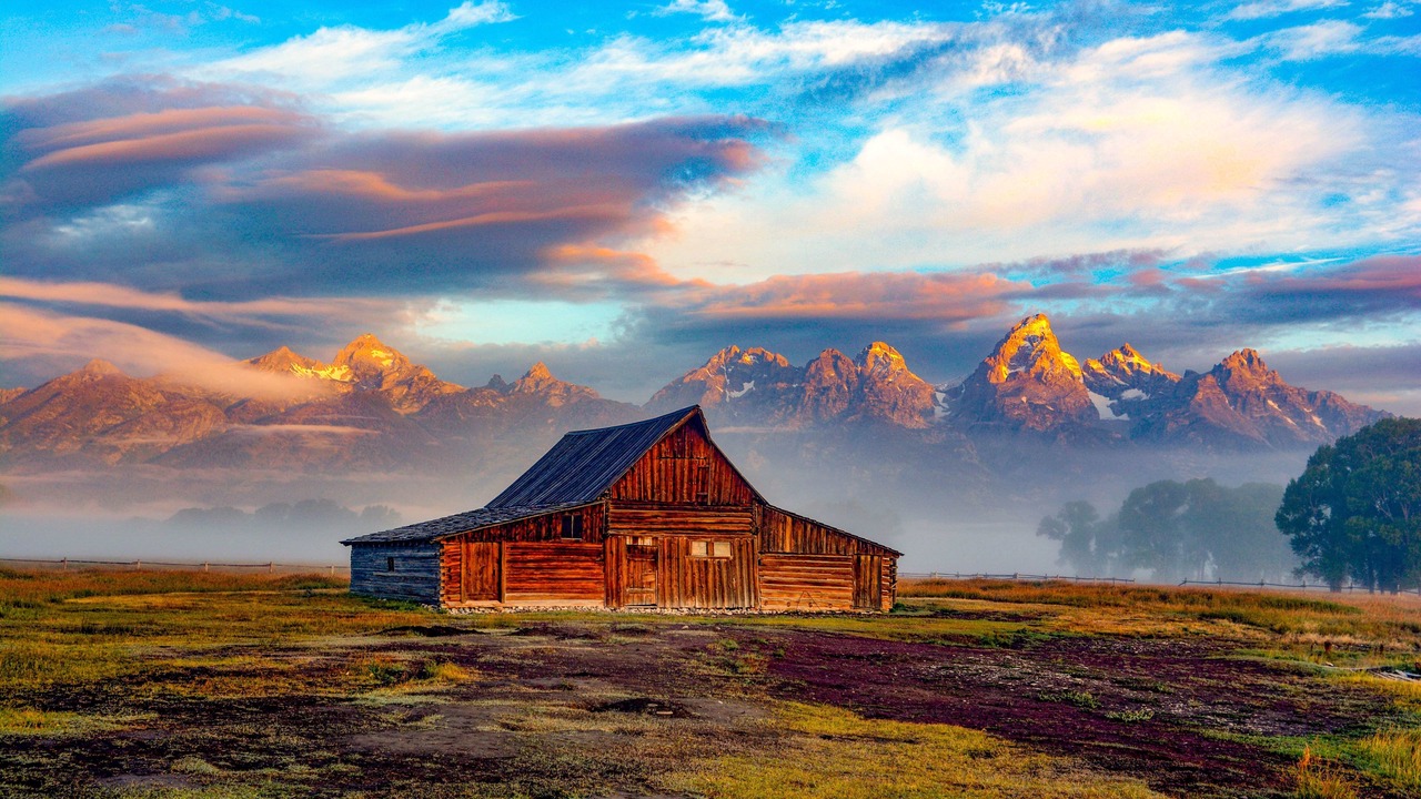 Photo of Others in Moose