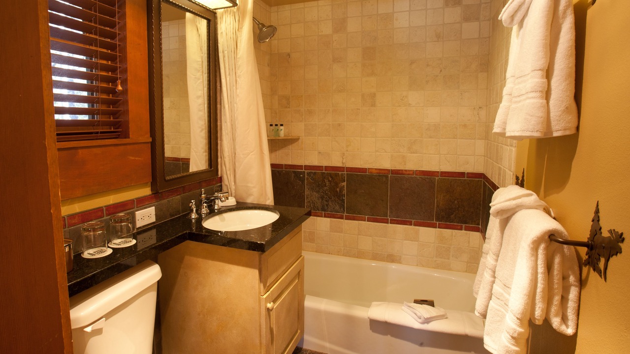 Photo of Bathroom in Moose