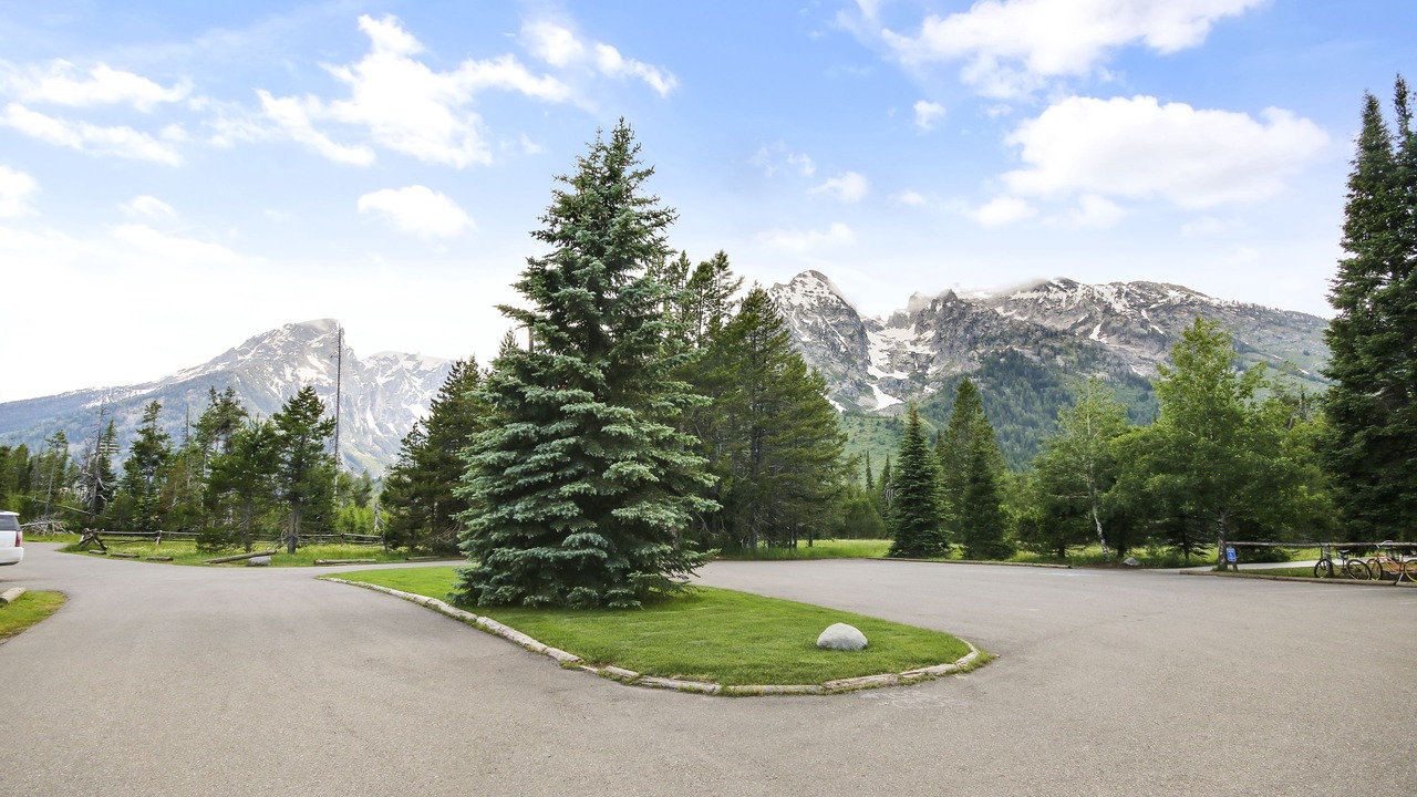 Photo of Others in Moose