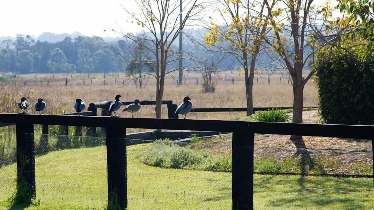 Photo of Outdoor in Nulkaba