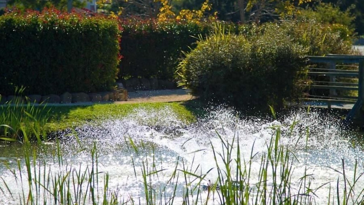 Photo of Outdoor in Nulkaba