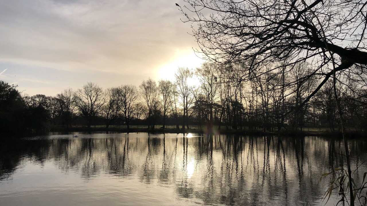 Photo of Outdoor in George Green