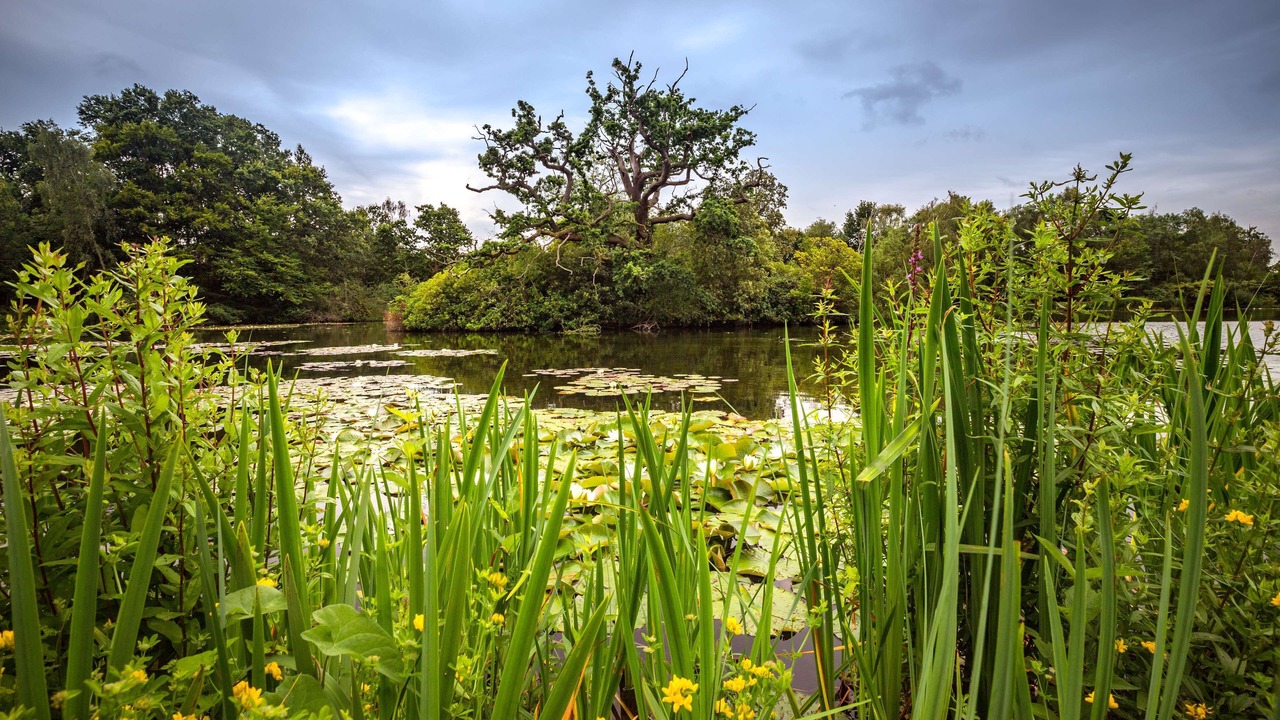 Photo of Outdoor in George Green