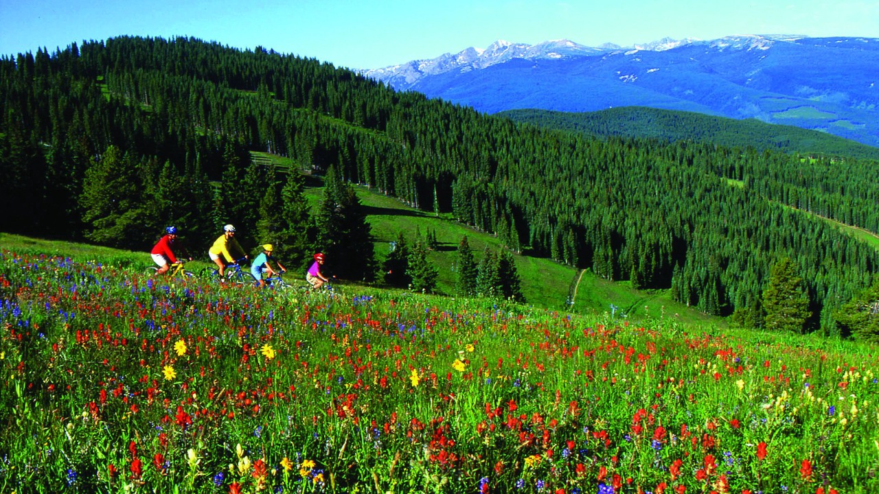 Photo of Outdoor in Beaver Creek