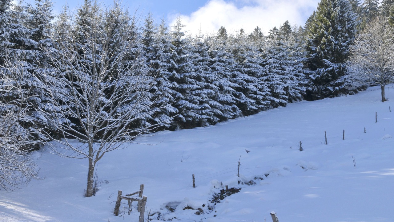Photo of Outdoor in Plainfaing