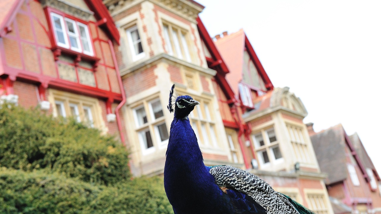 Photo of Others in Tring