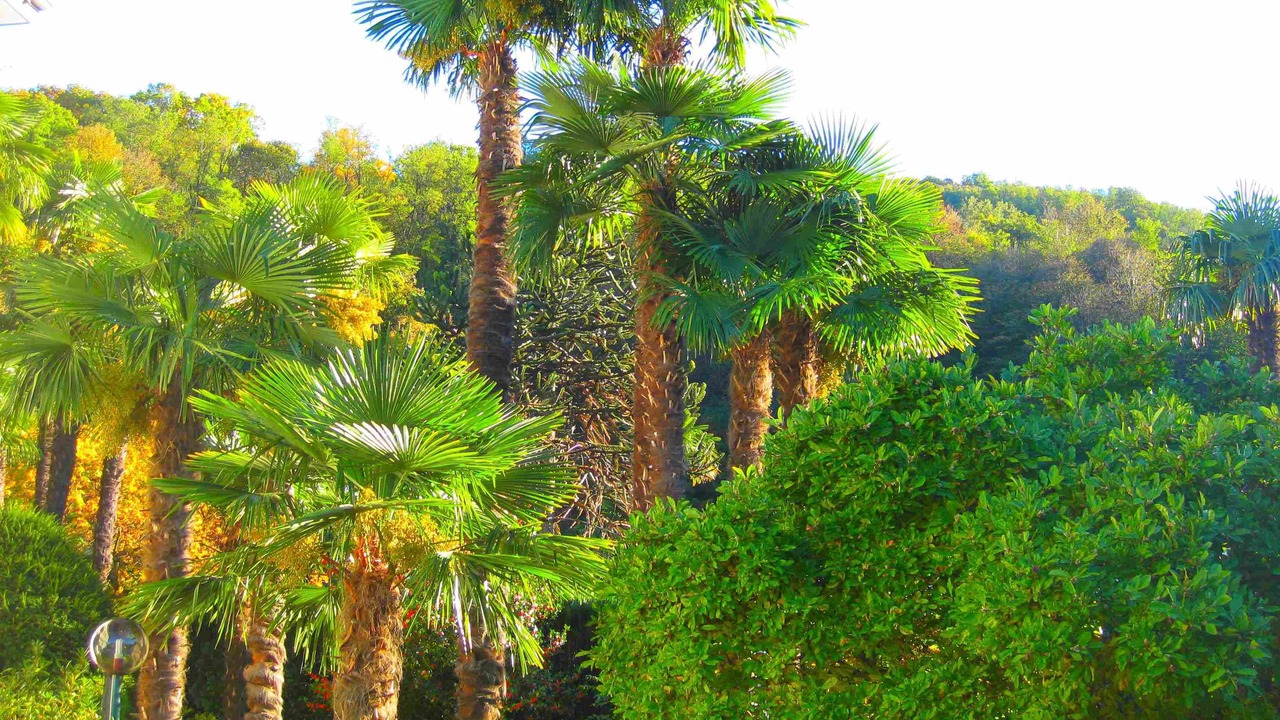Photo of Outdoor in Caslano