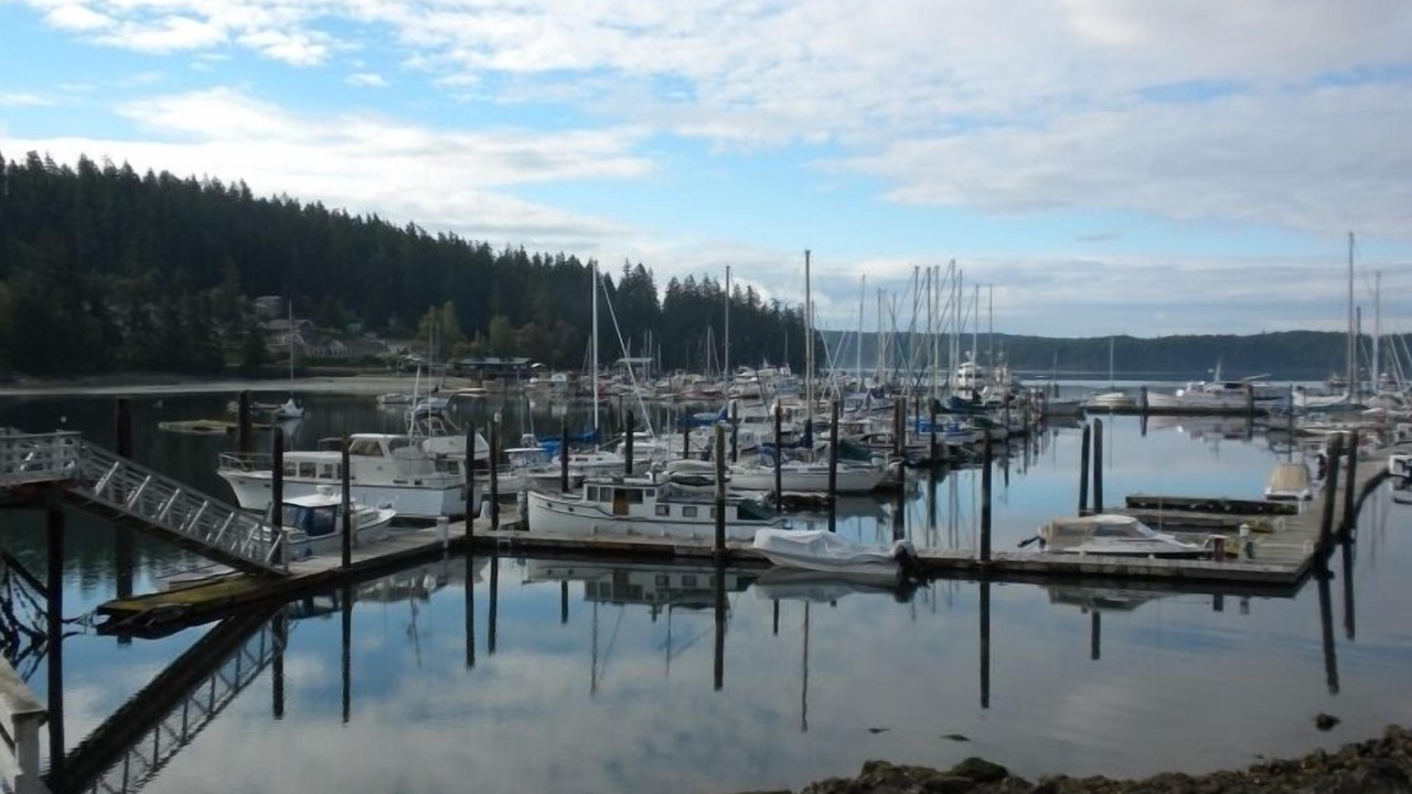 Photo of Others in Deer Harbor