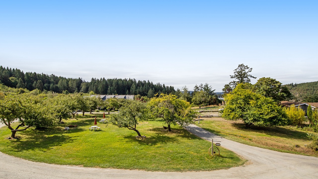 Photo of Livingroom in Deer Harbor