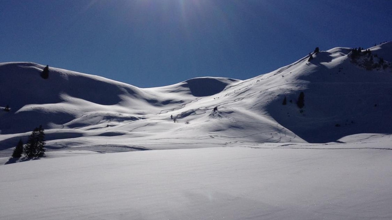 Photo of Others in Zweisimmen