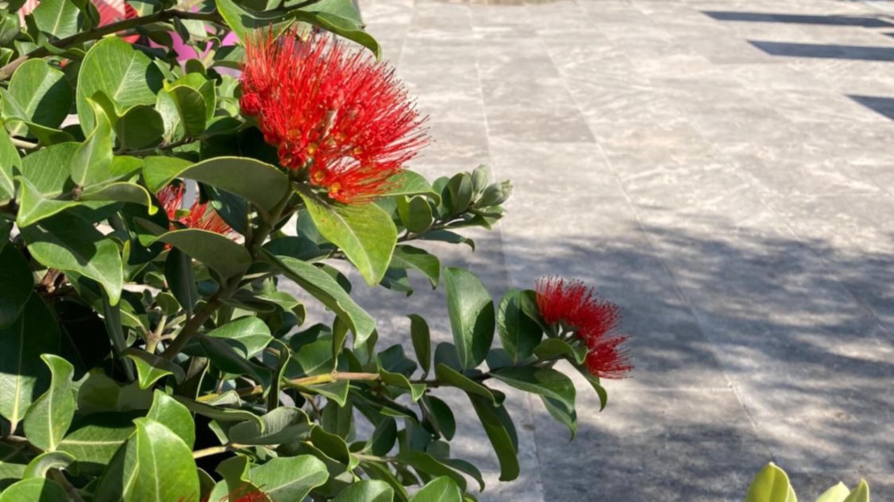 Photo of Outdoor in Bellegarde