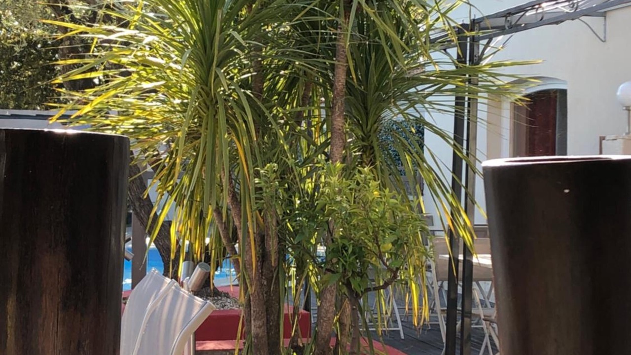 Photo of Patio Balcony in Bellegarde