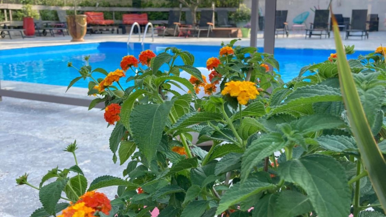 Photo of Outdoor in Bellegarde