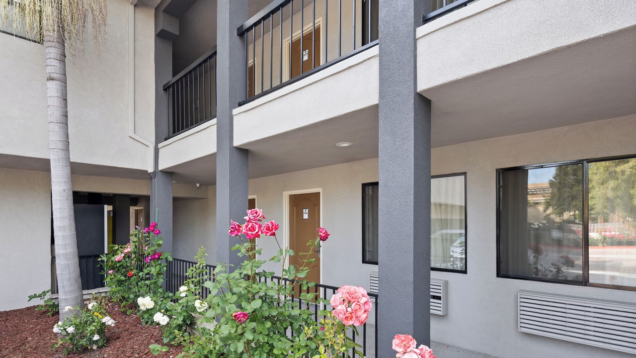 Photo of Outdoor in Old Mountain View