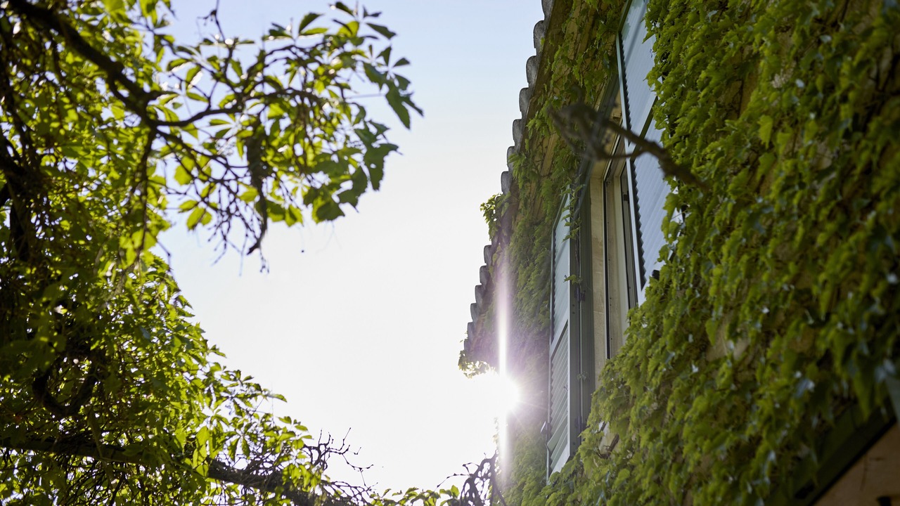 Photo of Outdoor in Graveson