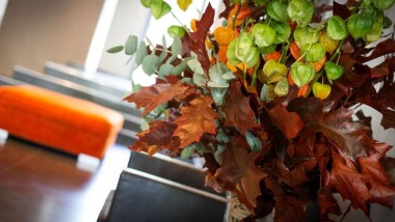 Photo of Others in Valence