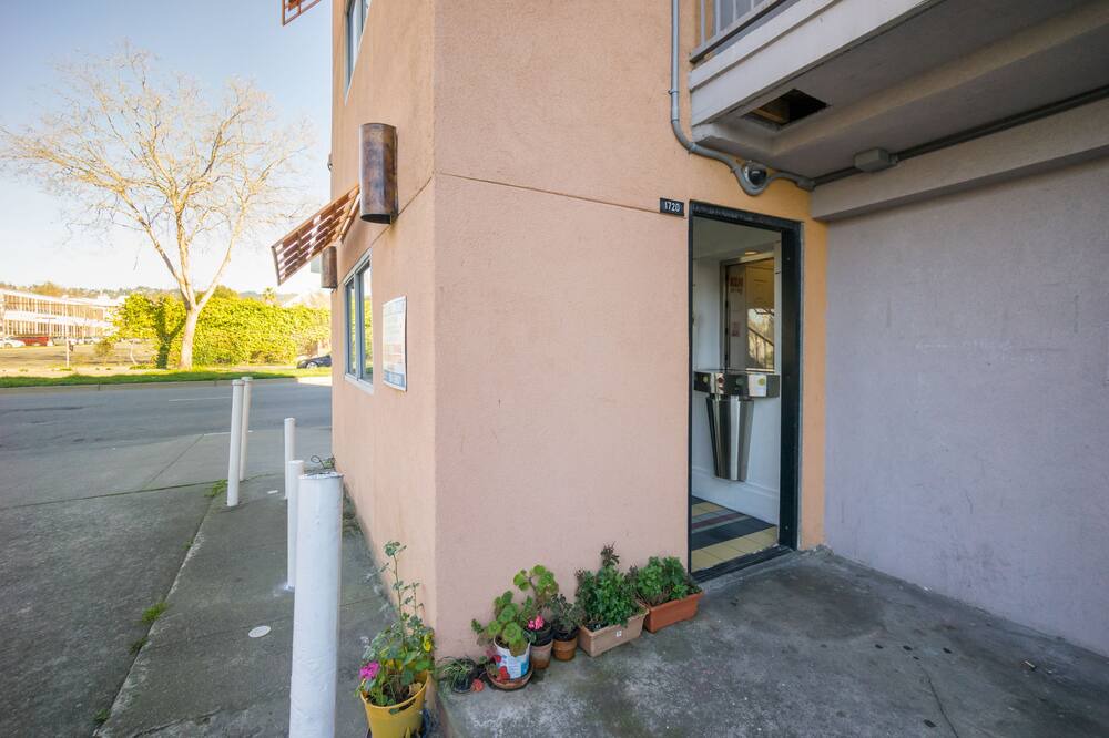 Photo of Outdoor in Northwest Berkeley