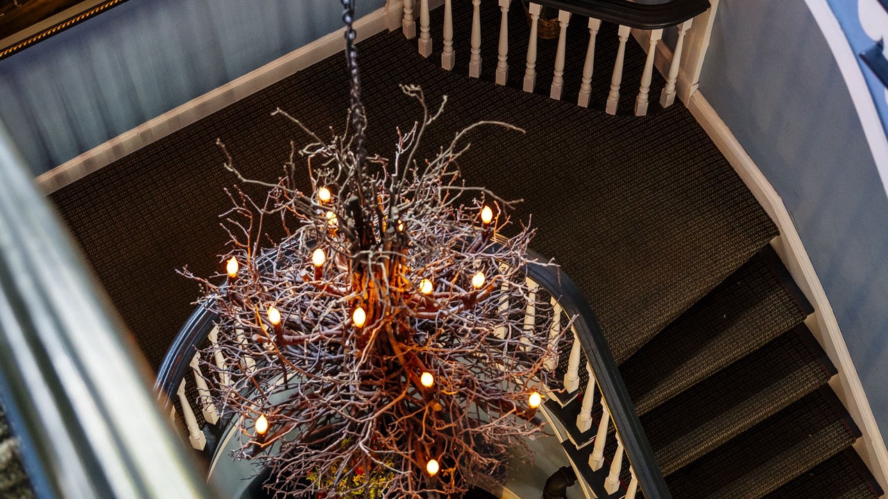 Photo of Others in Hamilton