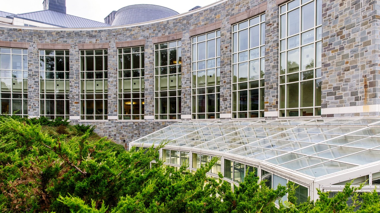 Photo of Outdoor in Hamilton