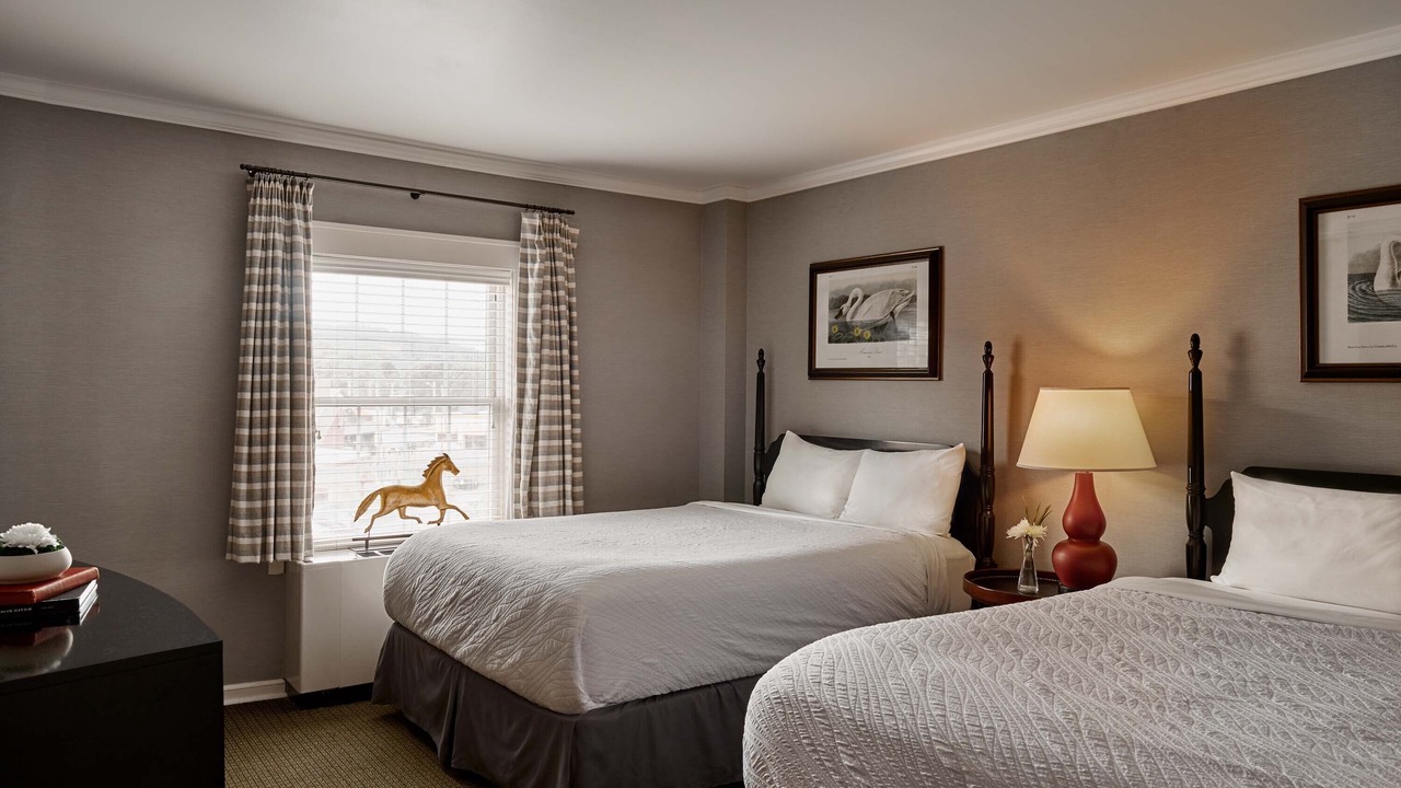 Photo of Others in Hamilton