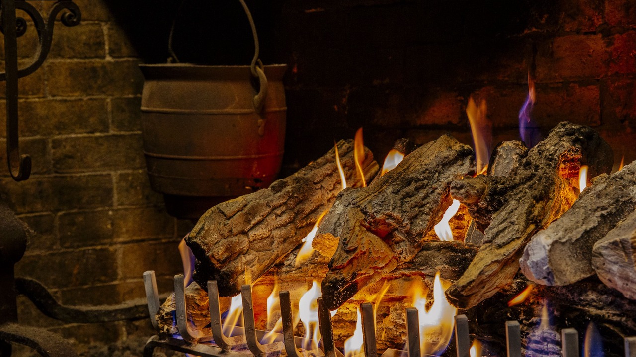 Photo of Others in Hamilton