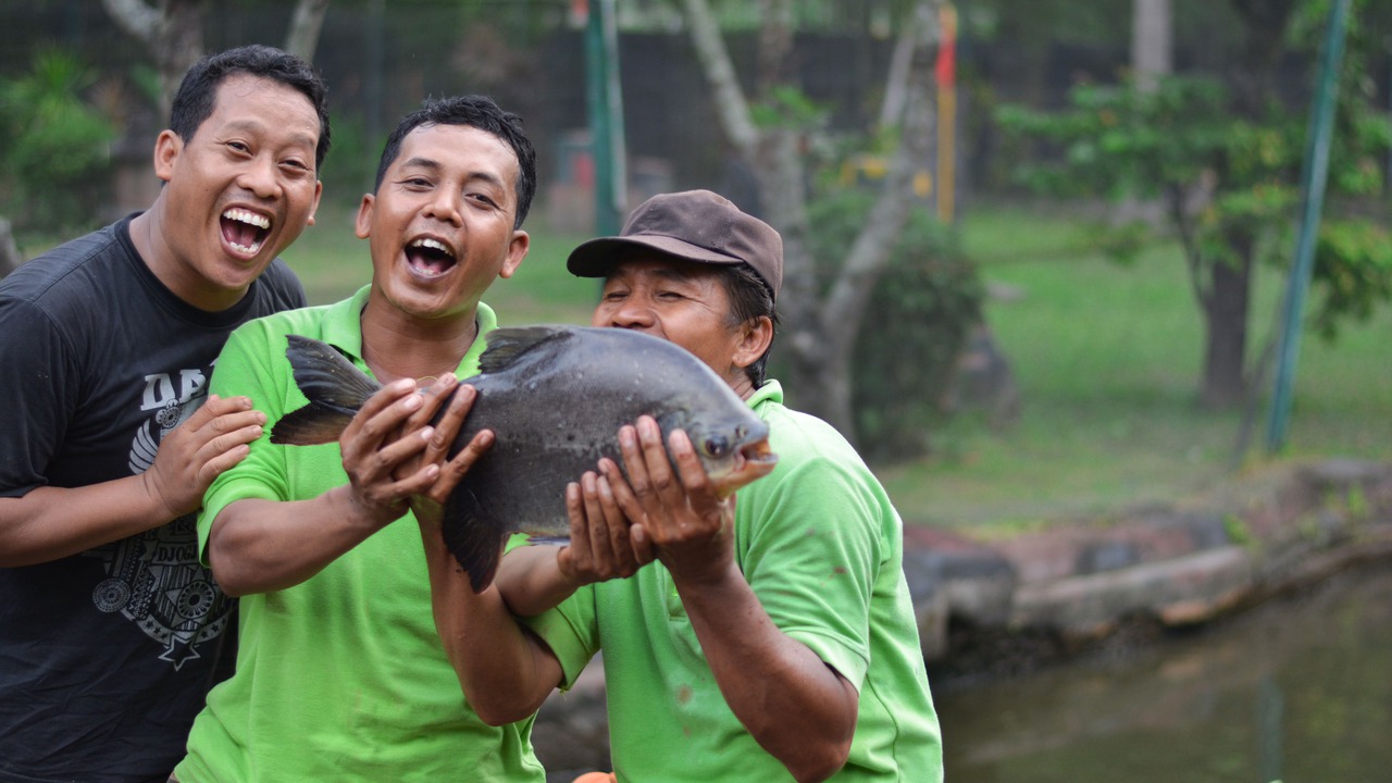 Photo of Others in Depok