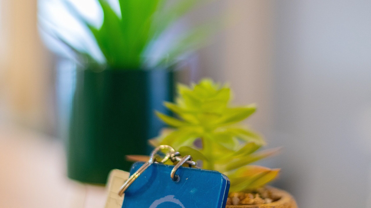 Photo of Others in Le Cannet