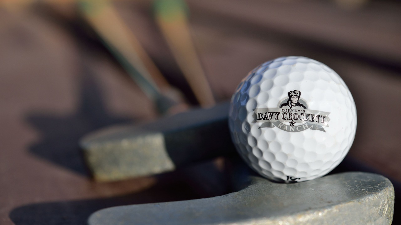 Photo of Others in Bailly-Romainvilliers