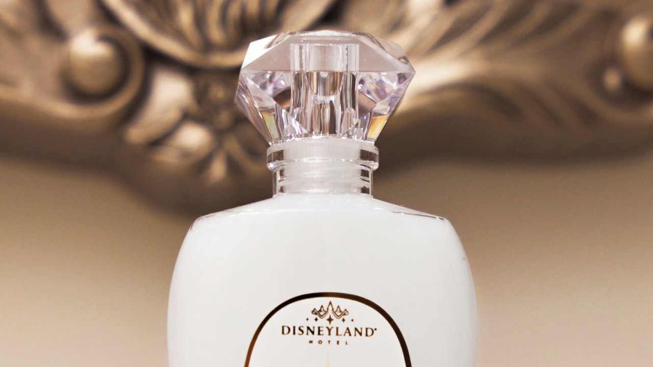 Photo of Bedroom in Chessy