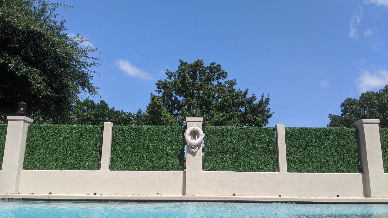 Photo of Outdoor in Round Rock