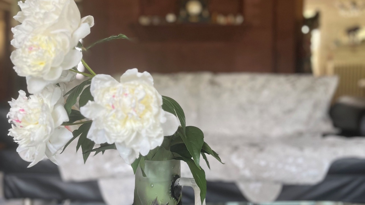 Photo of Others in Auburn