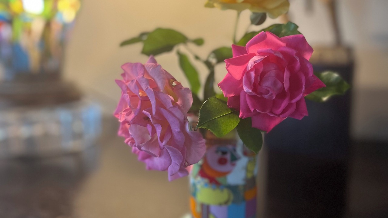 Photo of Others in Auburn