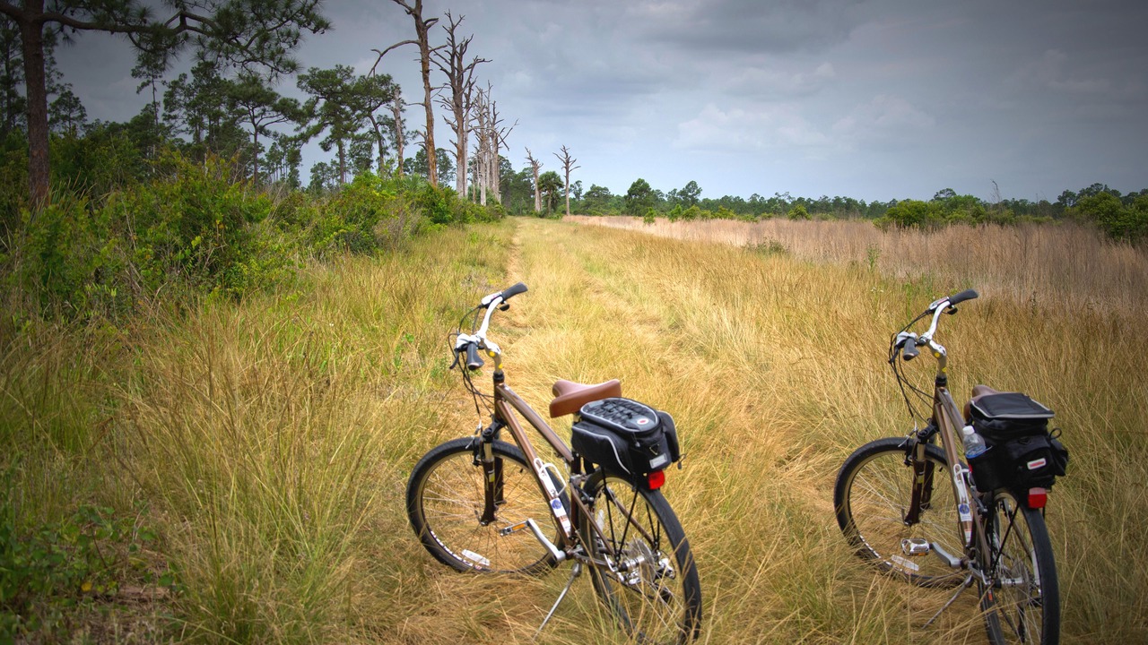 Photo of Outdoor in Tavel