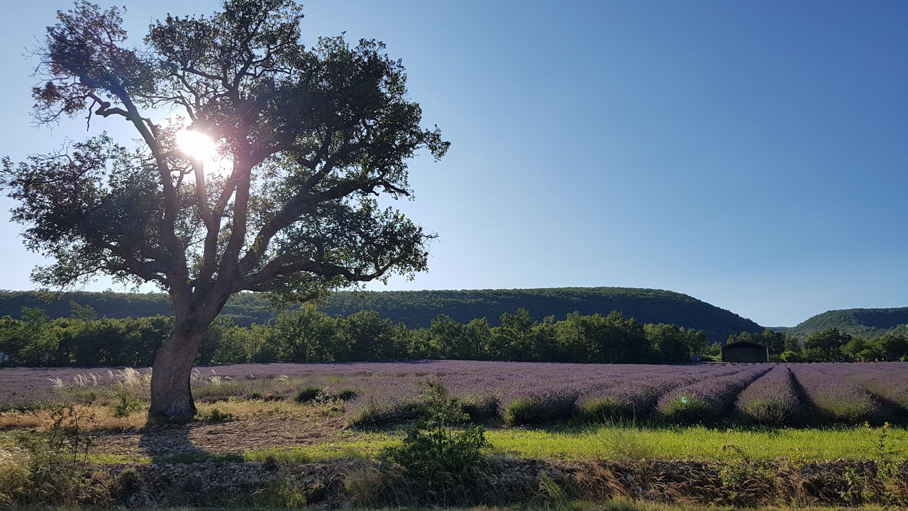 Photo of Outdoor in Tavel