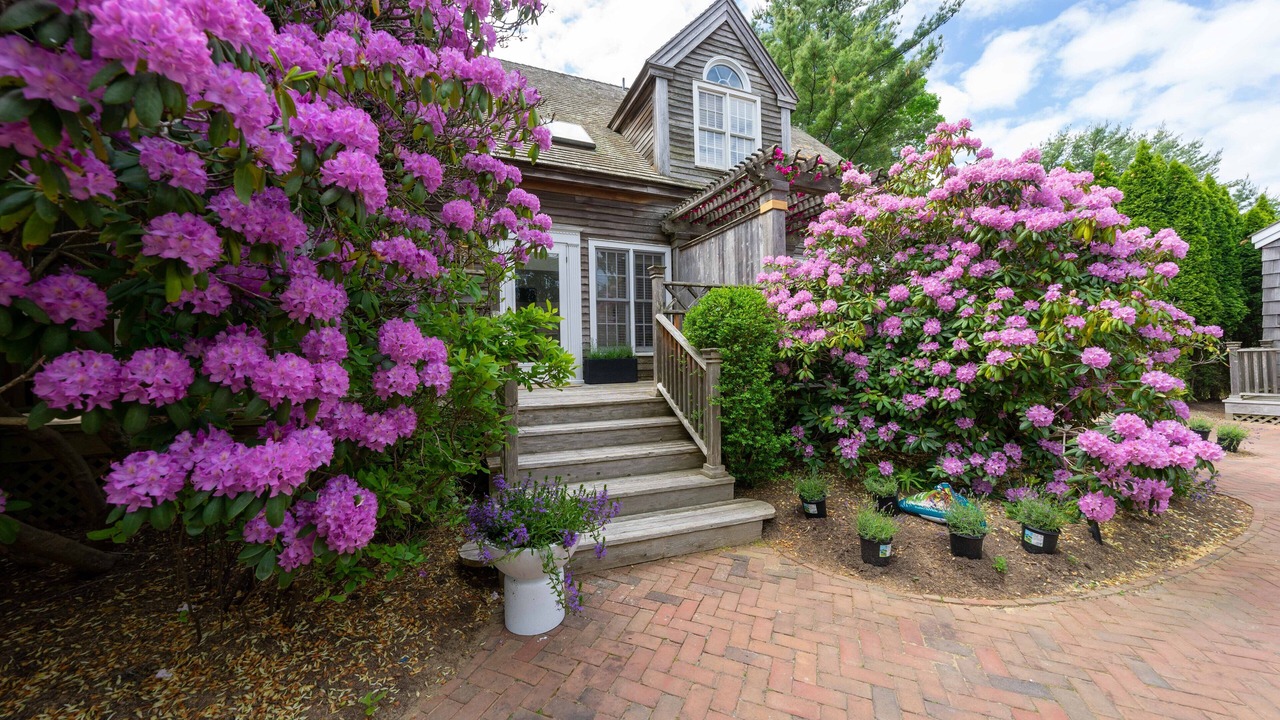 Photo of Buildings in Springs
