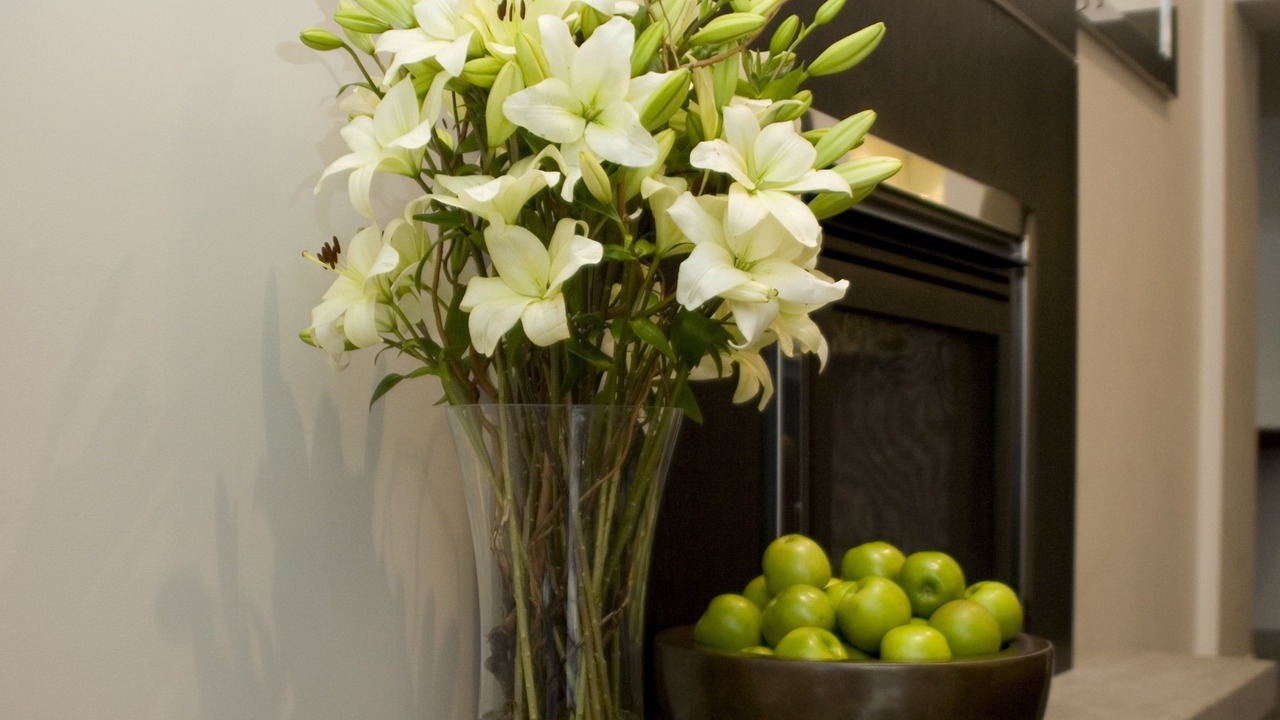 Photo of Others in Tauranga