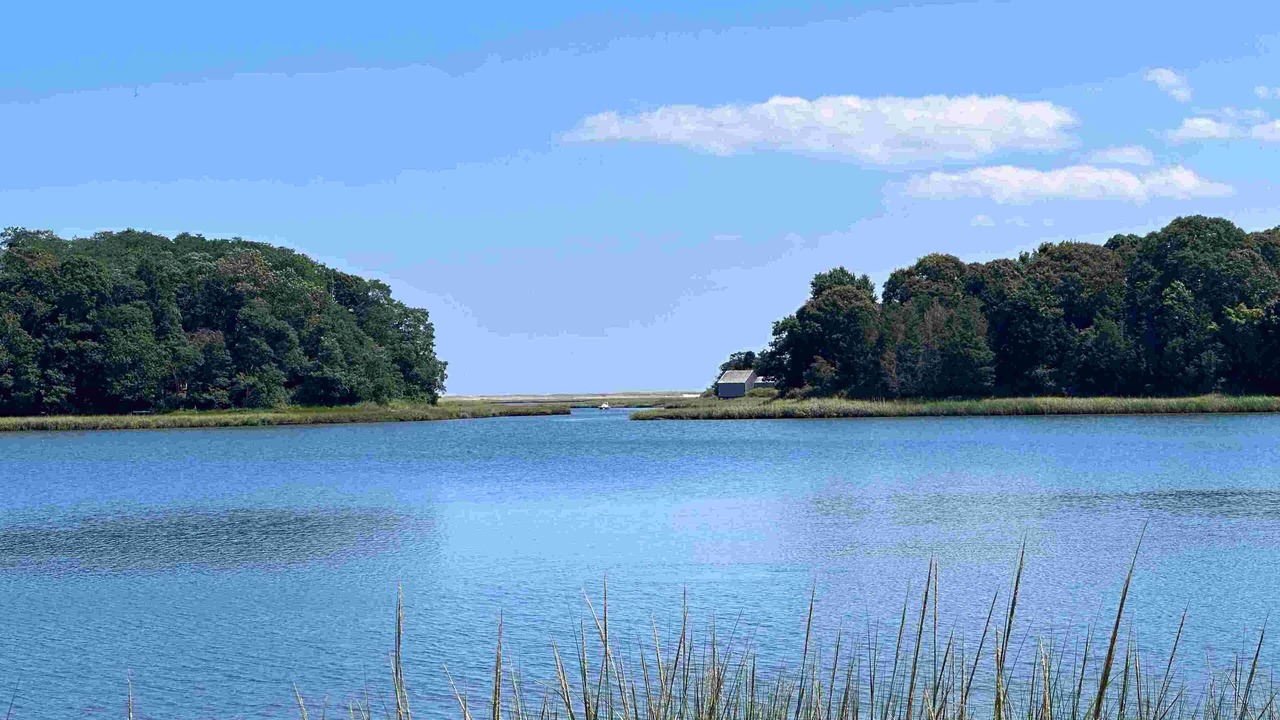 Photo of Others in Eastham