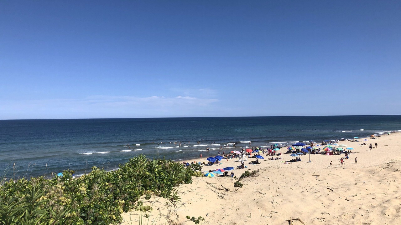 Photo of Others in Eastham