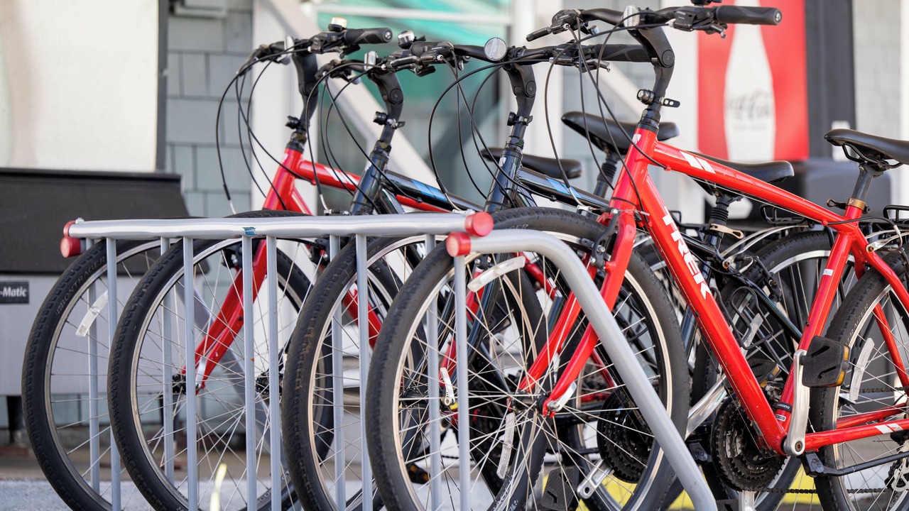 Photo of Outdoor in Eastham