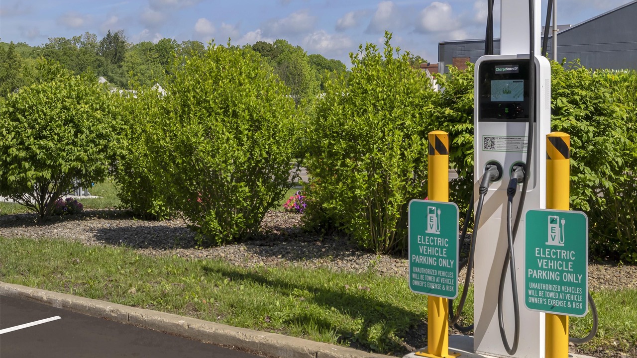 Photo of Others in Olean