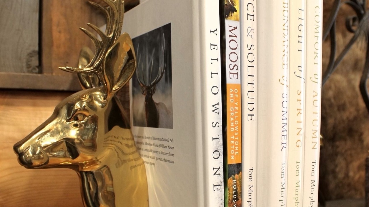 Photo of Others in West Yellowstone