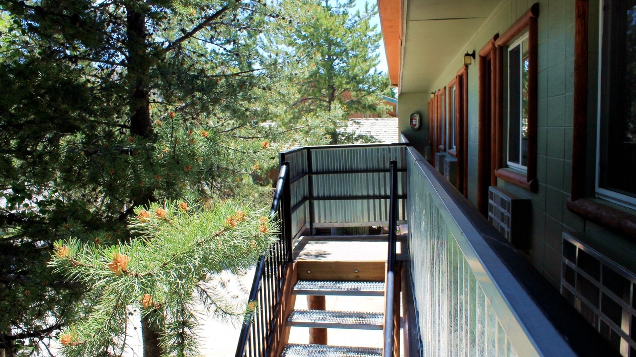 Photo of Outdoor in West Yellowstone