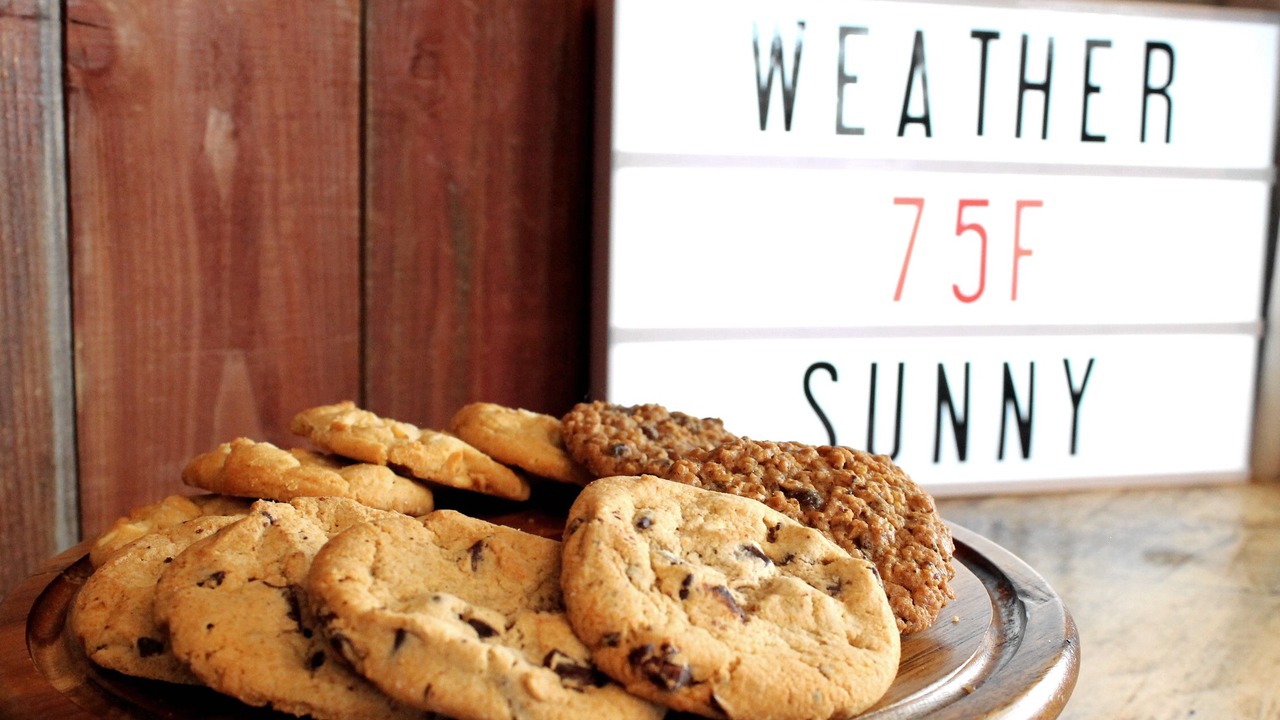 Photo of Others in West Yellowstone