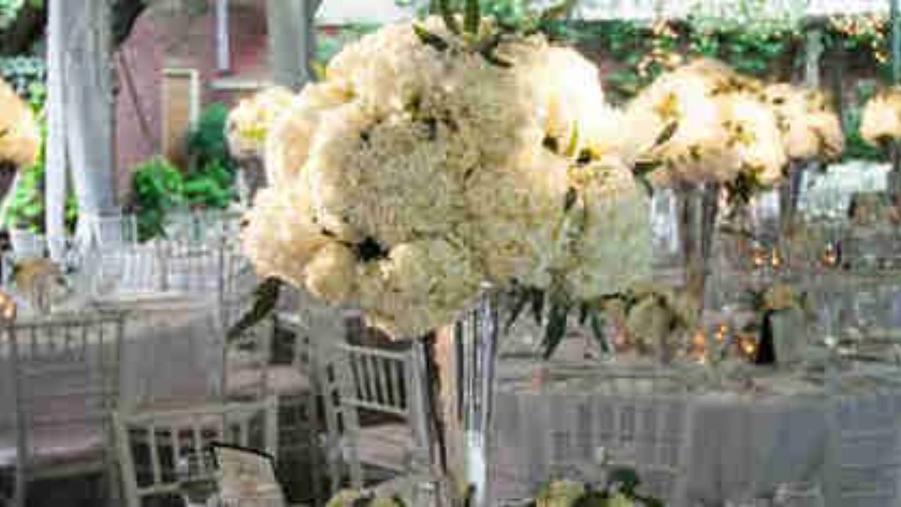 Photo of Outdoor in Washington Square West