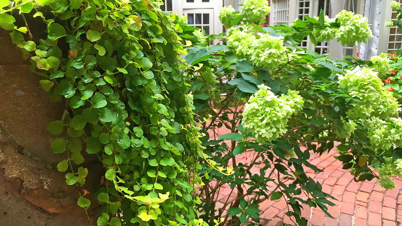 Photo of Outdoor in Washington Square West