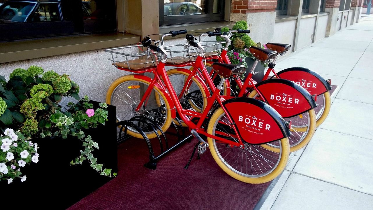 Photo of Outdoor in West End