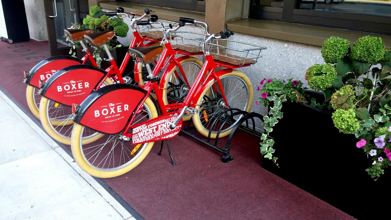 Photo of Outdoor in West End