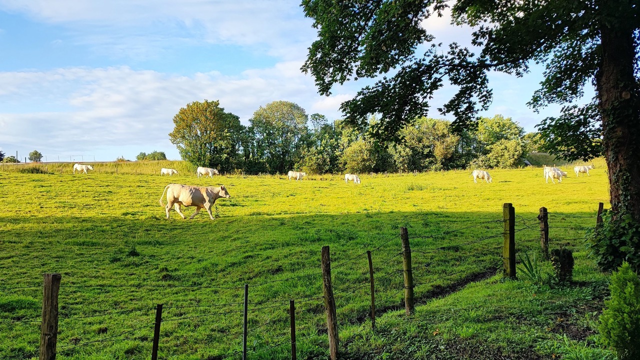 Photo of Outdoor in Bayeux